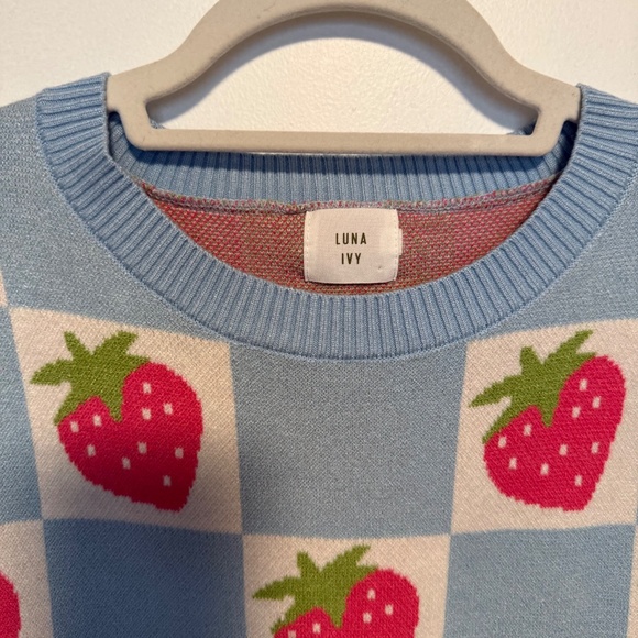 Anthropologie Luna Ivy Strawberry Blue White Checkered Sweater Size Large - Picture 3 of 13